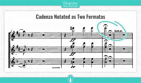 cadenza music definition and the role of cadenzas in shaping musical narratives