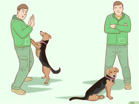 how to teach your dog to dance with tips from the world's greatest writers